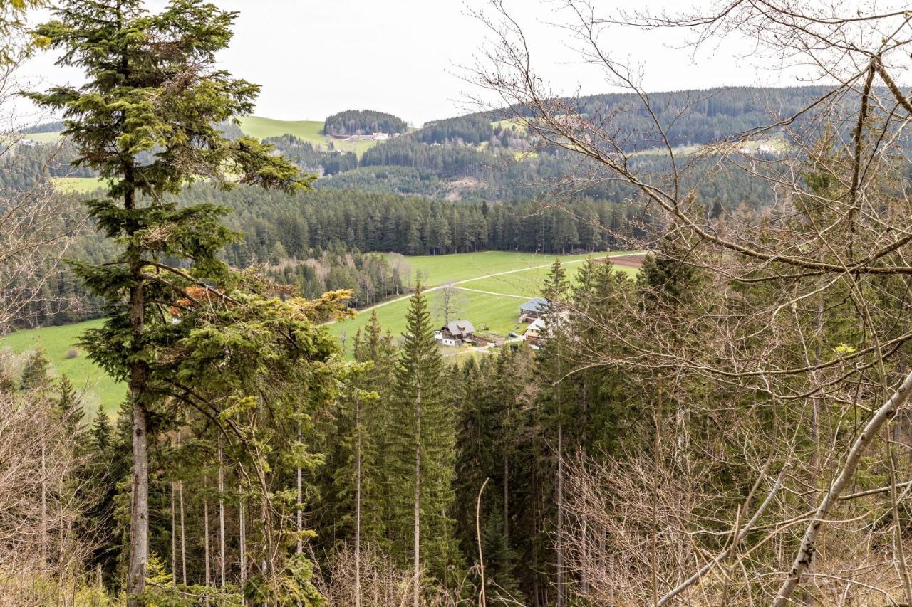 Ferienappartement Sonnenhof Triberg im Schwarzwald Exterior photo
